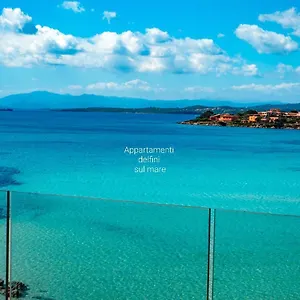 Delfini Sul Mare Italia